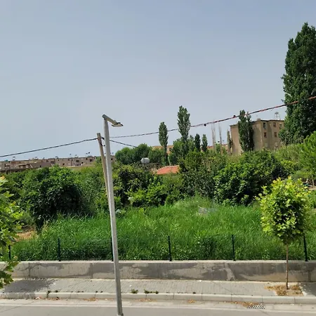 Rinascita Wlora